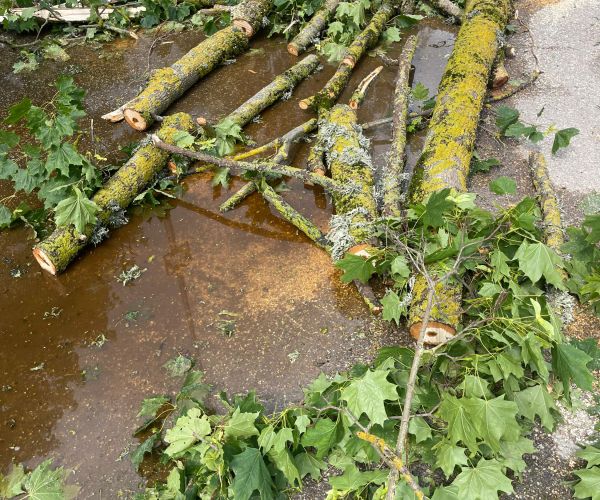 Apkārtnes sakopšana pēc 11.07.2024. vētras Bauskā