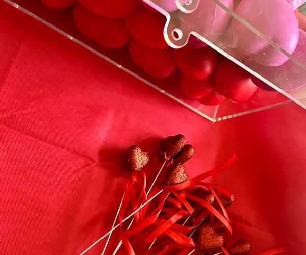 Hospiss LV brīvprātīgie apmeklē Bauskas slimnīcas stacionāru 12.02.2025.