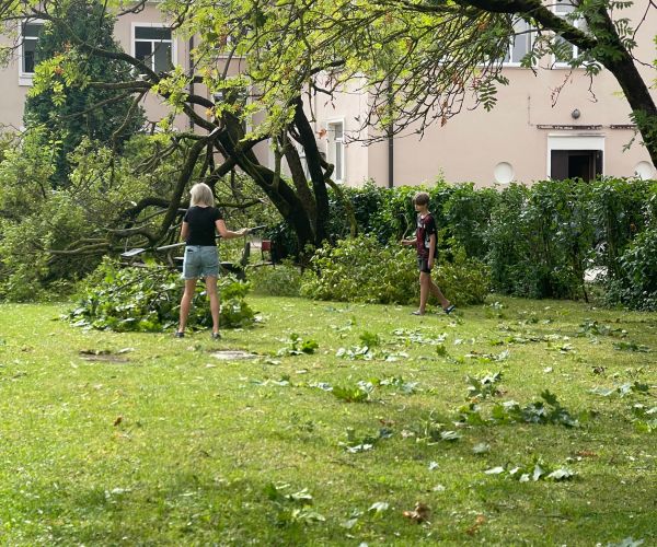 Apkārtnes sakopšana pēc 11.07.2024. vētras Bauskā