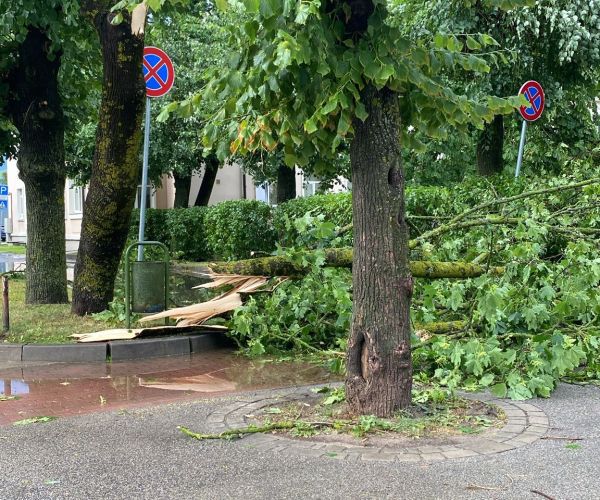 Apkārtnes sakopšana pēc 11.07.2024. vētras Bauskā