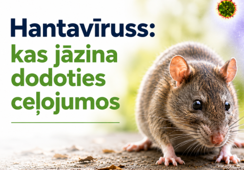 Hantavīruss - ko ņemt vērā dodoties ceļojumos